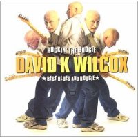 David Wilcox - Rockin’ the Boogie: Best of Blues & Boogie