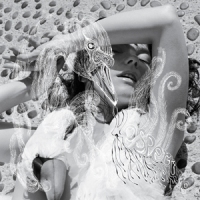 Bjork - Vespertine Bjork - Vespertine