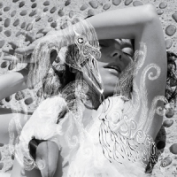 Bjork - Vespertine  