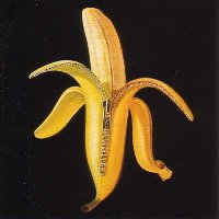 The Dandy Warhols - Welcome to the Monkey House The Dandy Warhols - Welcome to the Monkey House