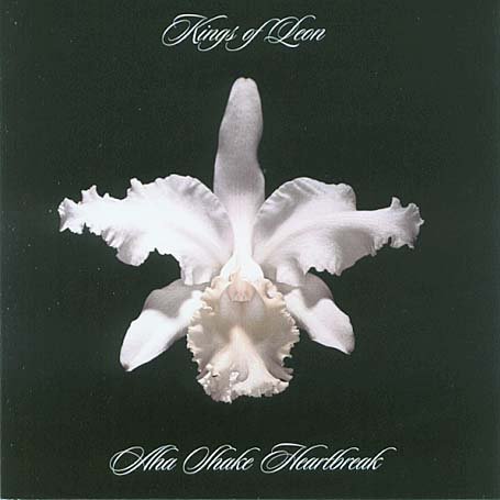 Kings of Leon - A-Ha Shake Heartbreak