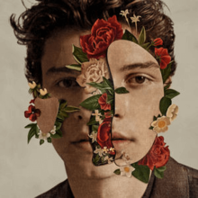 13 ShawnMendes