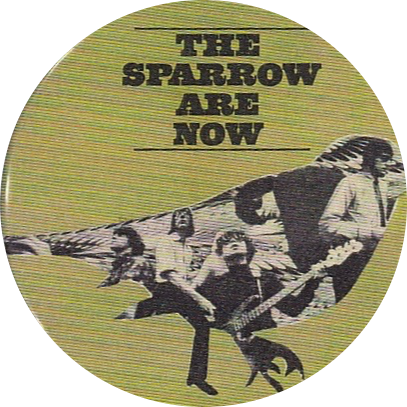sparrow modified