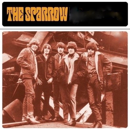 the sparrow