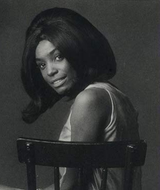 dianne brooks 2