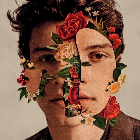 shawnmendes