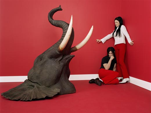 whitestripes elephant2